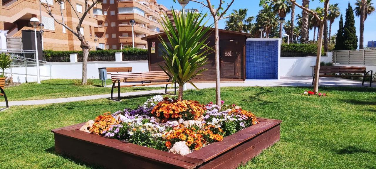 Acv Primera Linea Orpesa Kültér fotó